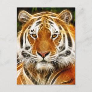 Briefkaart Tiger