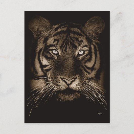 Briefkaart Tiger (Voorkant)
