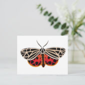 Briefkaart Tiger Moth (Staand voorkant)