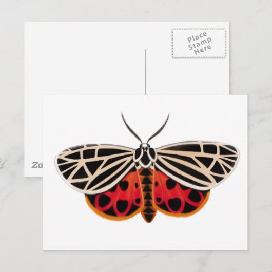 Briefkaart Tiger Moth (Voorkant / Achterkant)