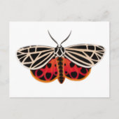 Briefkaart Tiger Moth (Voorkant)