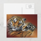 Briefkaart tijger en krab (Voorkant / Achterkant)
