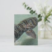 Briefkaart tijgerhaai (Staand voorkant)