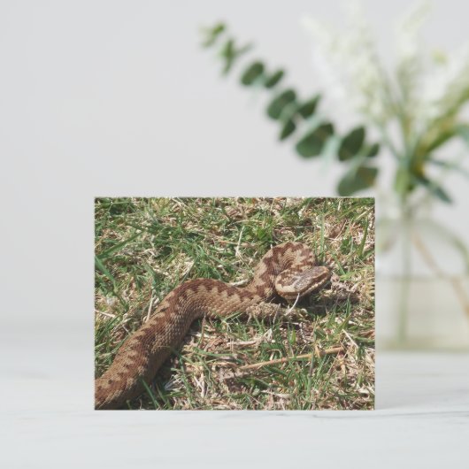 Briefkaart toevoegen (Staand voorkant)