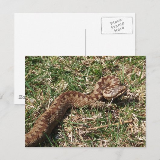 Briefkaart toevoegen (Voorkant / Achterkant)