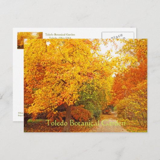BRIEFKAART/TOLEDO BOTANISCHE TUIN/HERFSTPAD BRIEFKAART (Voorkant / Achterkant)