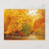 BRIEFKAART/TOLEDO BOTANISCHE TUIN/HERFSTPAD BRIEFKAART (Voorkant)