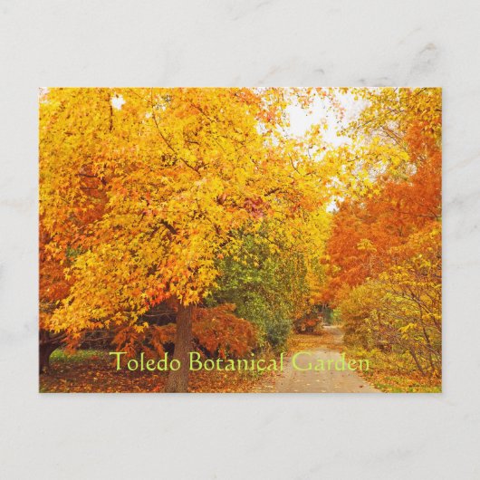 BRIEFKAART/TOLEDO BOTANISCHE TUIN/HERFSTPAD BRIEFKAART (Voorkant)