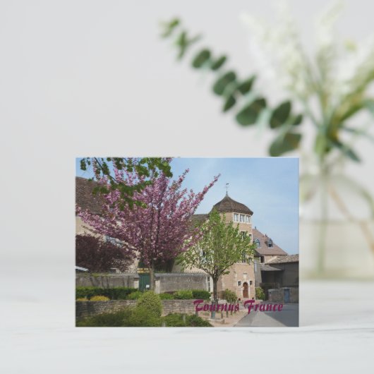 BRIEFKAART - Tournus Frankrijk (Staand voorkant)