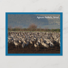 Briefkaart trekvogels