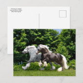 briefkaart "Tremayne & Caspian" (Voorkant / Achterkant)