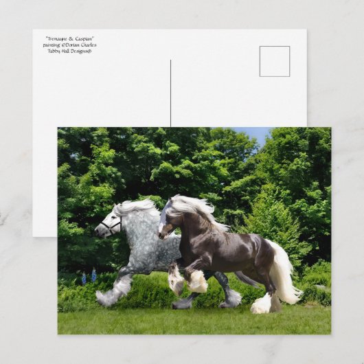 briefkaart "Tremayne & Caspian" (Voorkant / Achterkant)