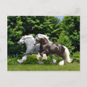 briefkaart "Tremayne & Caspian" (Voorkant)