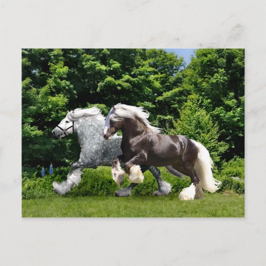 briefkaart "Tremayne & Caspian" (Voorkant)