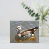 Briefkaart Tropisch paradise Duck (Staand voorkant)
