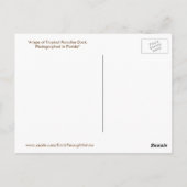Briefkaart Tropisch paradise Duck (Achterkant)
