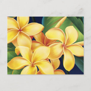 Briefkaart Tropisch Paradise Plumeria