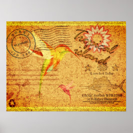  briefkaart tropische eilandkolibrie poster