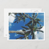 Briefkaart Tropische paradijspalmen (Voorkant / Achterkant)