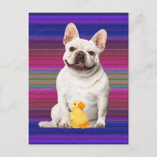 briefkaart "Tuffy McTuggs" (Voorkant)