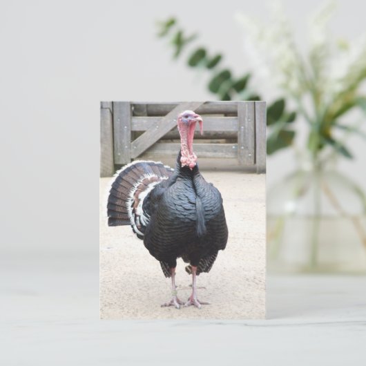 Briefkaart Turkije (Staand voorkant)