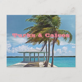 briefkaart-, TURKS- EN CAICOSEILANDEN/PALMBOOM, PI Briefkaart