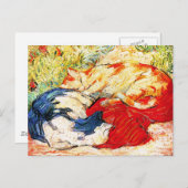 Briefkaart: twee katten briefkaart (Voorkant / Achterkant)