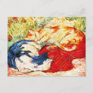 Briefkaart: twee katten briefkaart