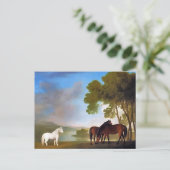 Briefkaart: Two Bay Mare & een Grijs Pony Briefkaart (Staand voorkant)