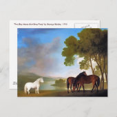 Briefkaart: Two Bay Mare & een Grijs Pony Briefkaart (Voorkant / Achterkant)