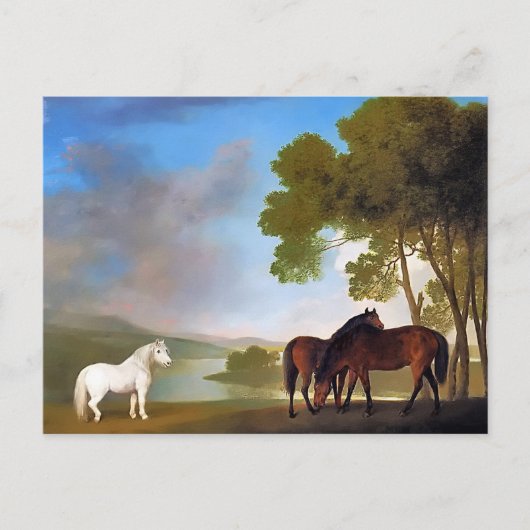 Briefkaart: Two Bay Mare & een Grijs Pony Briefkaart (Voorkant)