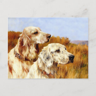 Briefkaart: Two Setters van Arthur Wardle Briefkaart