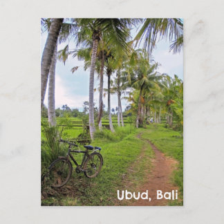 Briefkaart Ubud Bali Indonesië rijstvelden fiets