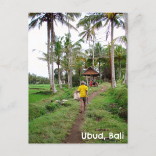 Briefkaart Ubud Bali Indonesië rijstvelden man