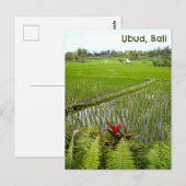 Briefkaart Ubud Bali Indonesië rijstvelden velden (Voorkant / Achterkant)