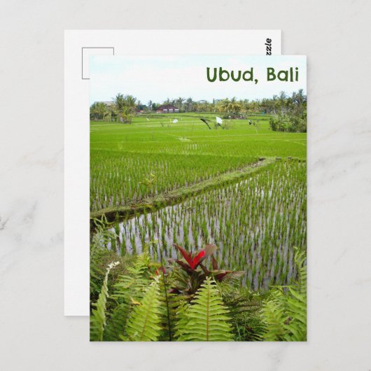 Briefkaart Ubud Bali Indonesië rijstvelden velden (Voorkant / Achterkant)