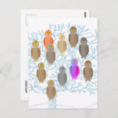 Briefkaart - Uil stamboom (Voorkant / Achterkant)