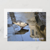 Briefkaart uit Belgrado (Voorkant / Achterkant)