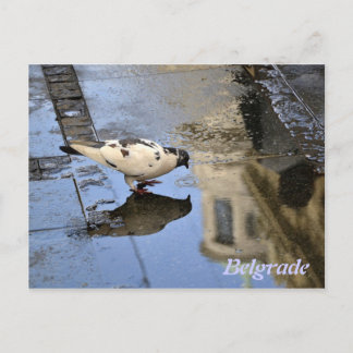 Briefkaart uit Belgrado