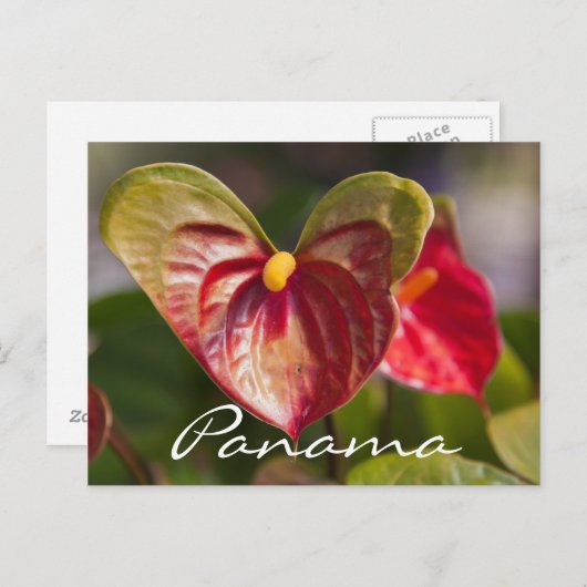 Briefkaart uit Boquete, Panama (Voorkant / Achterkant)