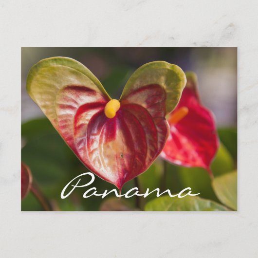 Briefkaart uit Boquete, Panama (Voorkant)