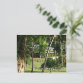 Briefkaart uit Fiji (Staand voorkant)