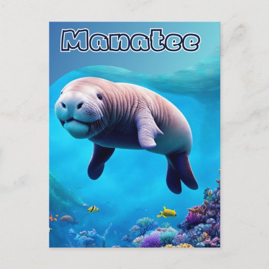 Briefkaart uit Florida, Cute Manatee in deep Ocean (Voorkant)