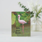 Briefkaart uit Florida met roze Flamingo (Staand voorkant)