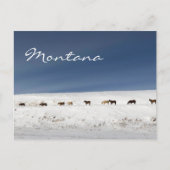 Briefkaart uit Montana (Voorkant)