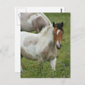 Briefkaart uitgelijnde verf (Voorkant / Achterkant)