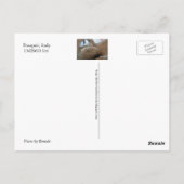 Briefkaart, UNESCO Mummy, Pompeii, Italië Teeth Briefkaart (Achterkant)