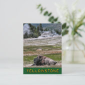 Briefkaart: Upper Geyser Basin Sentinel Briefkaart (Staand voorkant)