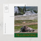 Briefkaart: Upper Geyser Basin Sentinel Briefkaart (Voorkant / Achterkant)