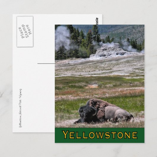 Briefkaart: Upper Geyser Basin Sentinel Briefkaart (Voorkant / Achterkant)